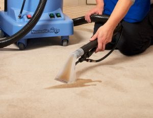Hilo-upholstery--tool-cleaning-carpet